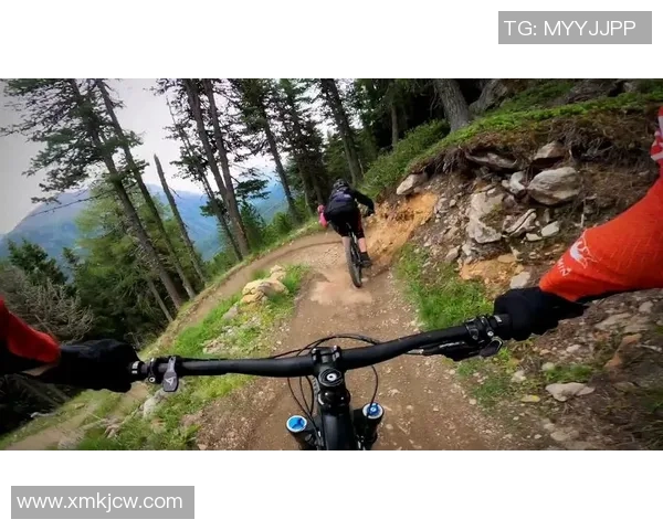 武汉极限运动队与广州极限运动队赛后战术分析与总结探讨